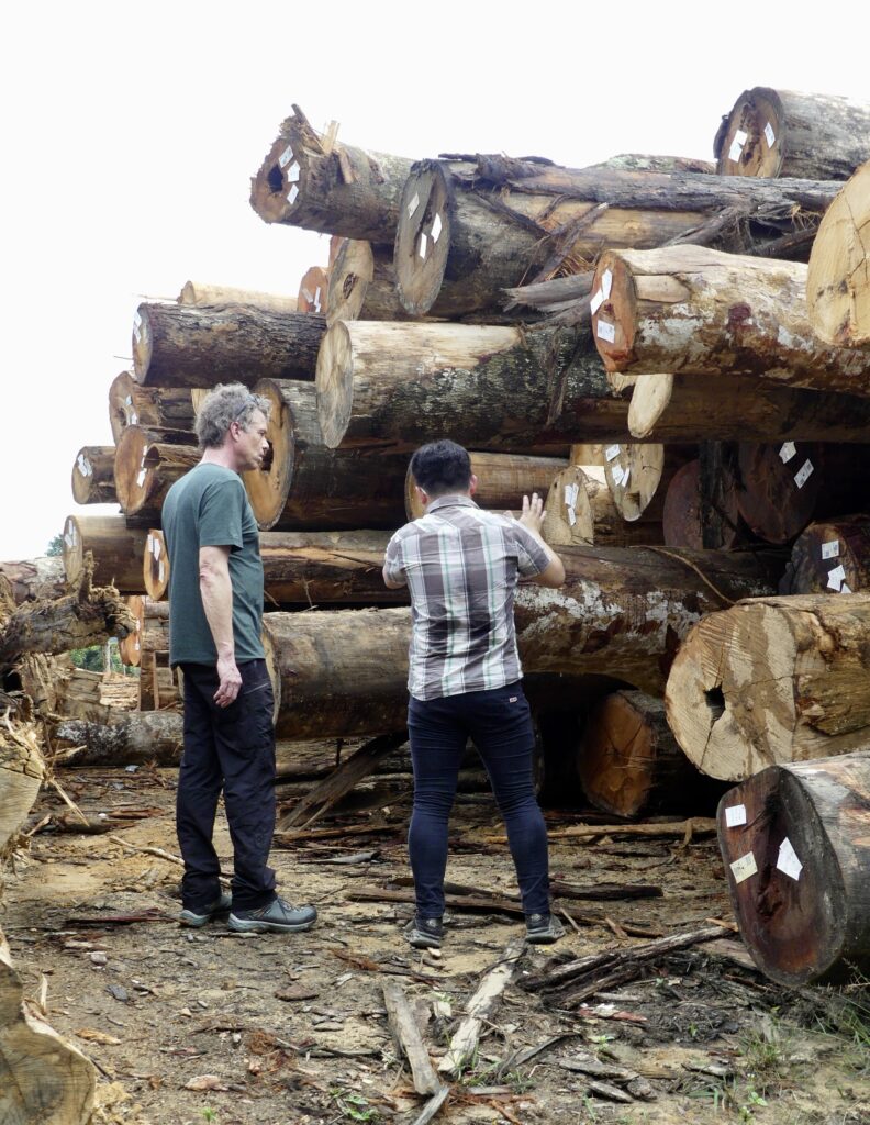 legaal gekapt hout